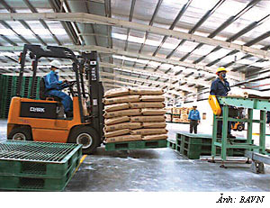 Tiêu thụ xi măng giảm